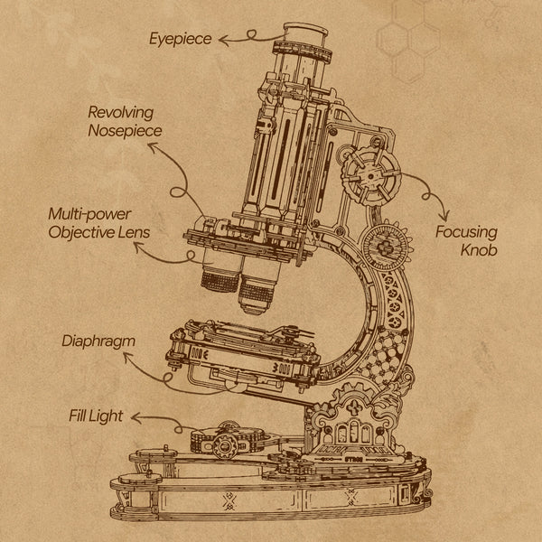 ROKR Microscope ST005 λειτουργικό ξύλινο μικροσκόπιο